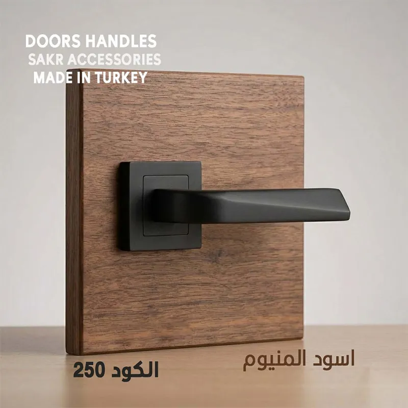 DOORS HANDLES 250