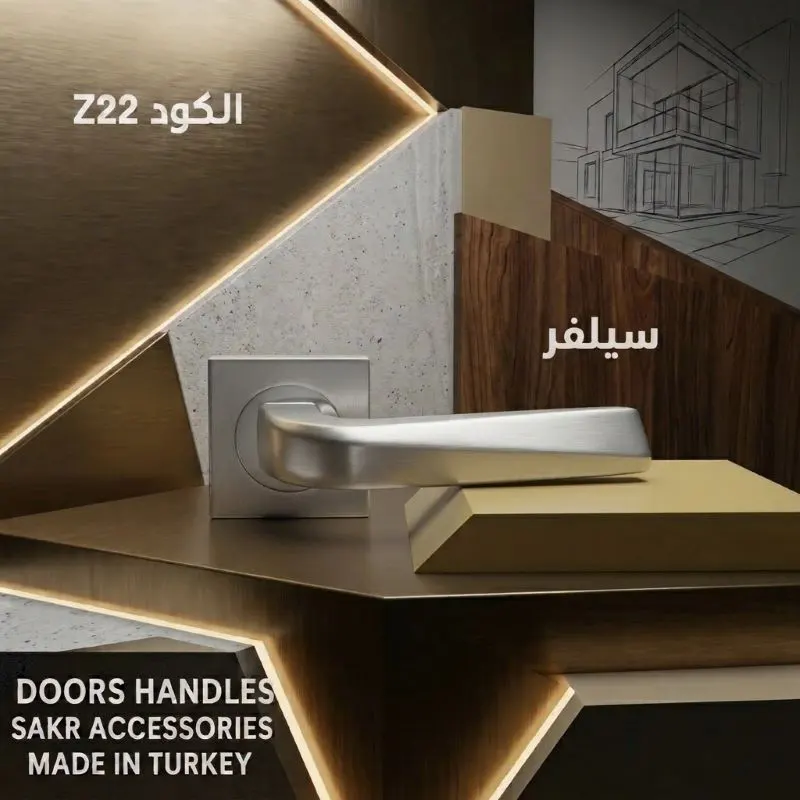 DOORS HANDLES Z22