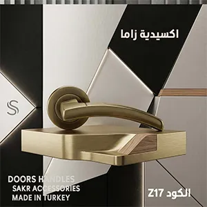 DOORS HANDLES Z17